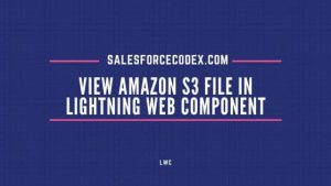 SalesforceCodex - View S3 File