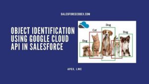 Object Identification SalesforceCodex.com