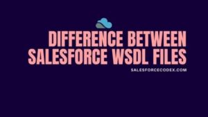 Difference between Salesforce WSDL Files - SalesforceCodex