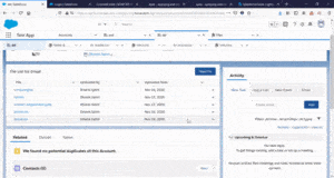 FileRelatedList_SalesforceCodex
