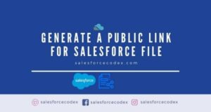 generatepubliclink_salesforcecodex