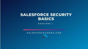 Salesforce Security Basics-SalesforceCodex